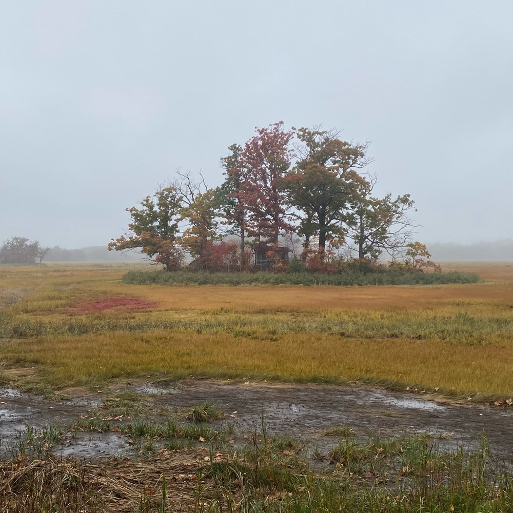 Meet your Posher, Madeline